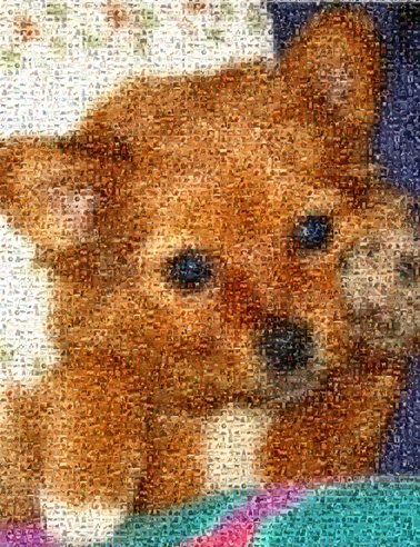 best websites for creating a photo mosaic online img2